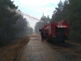 В Вознесенске лесники, пожарники и местные жители тушат масштабный пожар в лесном массиве
