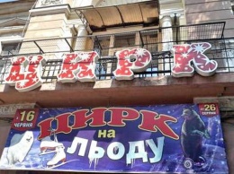 Белорусскому цирку запретили показывать в Одессе бурых медведей