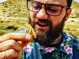 «Пища будущего»: Ученые назвали полезные свойства салата с насекомыми