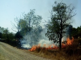 Количество возгораний сухой растительности в Крыму резко увеличилось