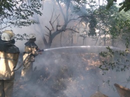 Вчера пожарно-спасательные подразделения Херсонщины 15 раз привлекались к ликвидации сухой травы и камыша на открытых территориях