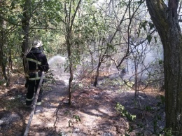 В Николаевской области за минувшие сутки площадь пожаров на открытых территориях составила почти 23 гектара