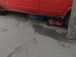 Керченские стихийщики прятали рыбу от полиции под машинами
