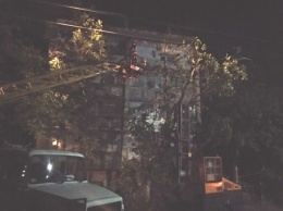 В Каховке упавшее дерево повредило электросеть