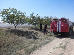 Вчера в нашем регионе пожарные ликвидировали 23 пожара