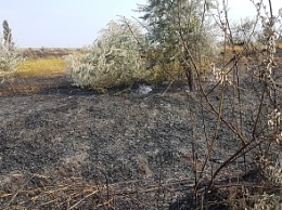 Выжженная земля: последствия ночного пожара в Бердянске (видео)