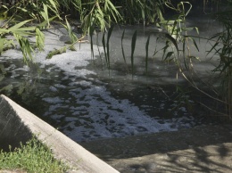 В реку на Полтавщине сбрасывают нечистоты: запах чувствуют за 7 километров