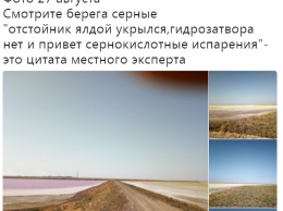 Химатака в Крыму: появились доказательства катастрофы. ФОТО