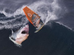 61-летний дайвер выжил в схватке с белой акулой из-за нетрадиционного способа