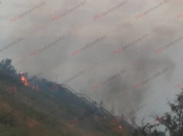 В Бердянске из-за поджигателей пожарные дважды тушили склон горы