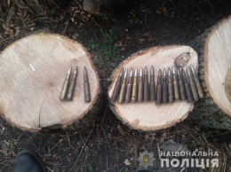«Какие-то неправильные пчелы»: пенсионер в Одесской области хранил оружие и наркотики в пчелином улье