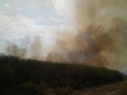 На Луганщине не удается ликвидировать масштабный пожар