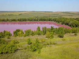 Три озера под Самарой неожиданно окрасились в розовый цвет