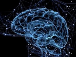Ученые нашли отдел мозга, отвечающий за магические способности