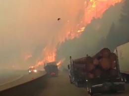 Как в блокбастере: американец снял видео прорыва сквозь лесной пожар в Калифорнии