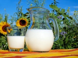 Ученые: Употребление жирного молока продлевает жизнь