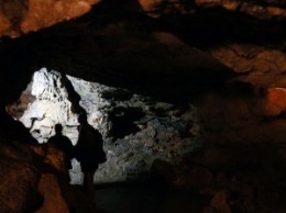 В крымской пещере на участке «Тавриды» нашли останки древних жирафа и слона