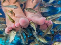 Пилинг рыбками: процедура может закончиться для вас ампутацией ног, жуткие кадры последствий
