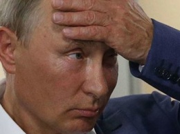"Это будут шаги, которые заметят все": Путин об ответе за гибель Ил-20