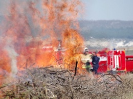 Шашлык и салют под запретом: в Крыму чрезвычайная пожарная опасность