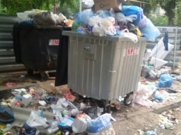 Город утопает в мусоре - частная компания не утруждает себя уборкой ТБО (фото)