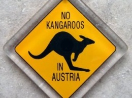 Больше не смешно: В Австрии тоже водятся дикие кенгуру