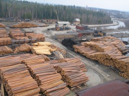 Из-за нового налога в Украине вдвое подорожает древесина