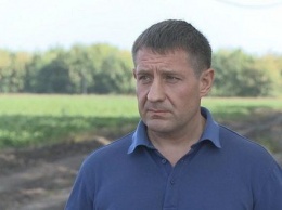 Бизнесмен Олег Аверьянов рассказал, как экс-глава налоговой милиции "отжимал" его агрохолдинг