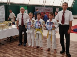 Керченские дзюдоисты завоевали медали в Саках