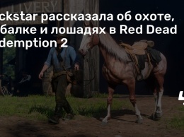 Rockstar рассказала об охоте, рыбалке и лошадях в Red Dead Redemption 2