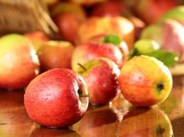 Французские ученые вывели новый сорт яблок
