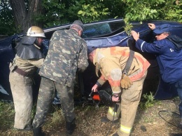 После столкновения двух иномарок на Киевской трассе одного из водителей пришлось извлекать спасателям