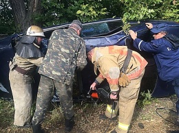 Жуткая авария на трассе «Ульяновка-Николаев»: один из автомобилей вылетел в кювет, есть пострадавшие