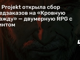CD Projekt открыла сбор предзаказов на «Кровную вражду» - двумерную RPG с гвинтом