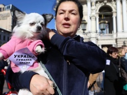 Гуманная страна: в десятках городов Украины состоялась акция за права животных (ФОТО)