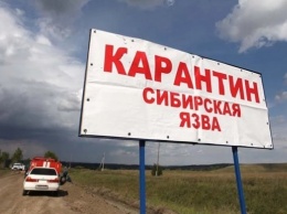 В Киеве риска заражения сибирской язвой нет - Госпродпотребслужба