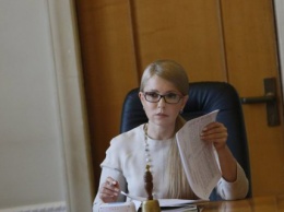 Тимошенко: доступные кредиты обеспечат расцвет предпринимательства