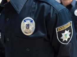 В Киевской области пьяный мужчина напал на женщину-полицейского