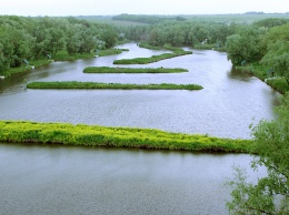 В Запорожской области существенно подымется стоимость аренды водоемов