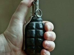 В лесополосе в Бердянске нашли боевую гранату