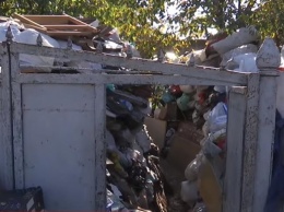 В Кропивницком двое мужчин собрали во дворе десятки тонн мусора