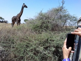 Запорожец сделал в Африке потрясающие фотографии