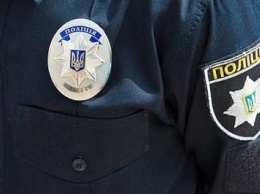 В Запорожской области все чаще бьют полицейских