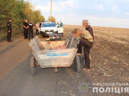 Житель Одесской области сел на 12 лет за убийство любовника своей сожительницы