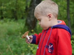 ''Доживите до утра'': шокированная киевлянка предупредила о страшной опасности грибов для детей