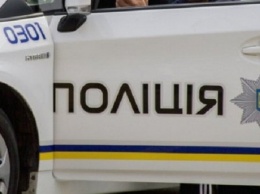 В Запорожской области работник угнал машину своего начальника