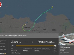 Авиакатастрофа в Индонезии. Что известно о крушении Боинга, который упал в океан