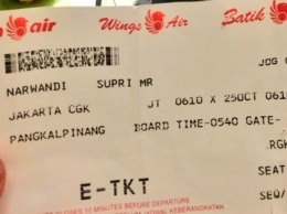 Авиакатастрофа в Индонезии: как выжил пассажир разбившегося лайнера. ФОТО