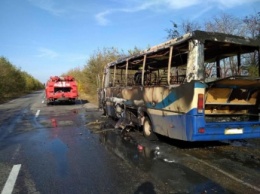 На участке трассы Запорожье - Новомосковск сгорел пассажирский автобус (ФОТО, ВИДЕО)