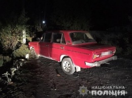 В пригороде Запорожья мертвецки пьяный угонщик ВАЗ-2106 врезался в дерево